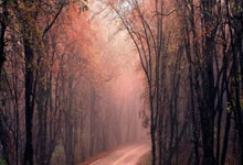 记者:朱辰杰不能完整合练出战可能性不大,王世龙可能首次首发.