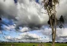 [NBA]常规赛3月1日：快船VS 詹姆斯集锦.