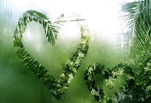 短道速滑——世锦赛:王欣然获女子500米决赛第四名.