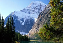 东升国际:科比·怀特31+7琼斯18+7 公牛险胜篮网喜迎四连胜.