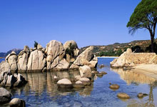 东升国际:斯卡洛尼:梅西缺席是很大损失;马竞欧冠出局的.